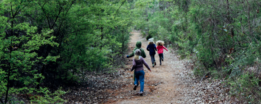 Children on forest path